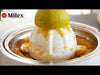 Milex Electric Citrus Press