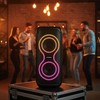 Blaupunkt Infinite 20W Party Speaker with Wired Mic