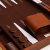 Classic Backgammon Game