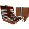 Classic Backgammon Game