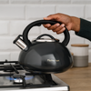 Homemax Stovetop Kettle