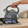 Homemax Stovetop Kettle