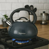 Homemax Stovetop Kettle