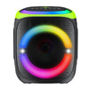 Polartec Clarion 60W RMS Party Speaker