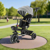 Child's tricycle with canopy in a park setting