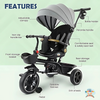 NEW Little Bambino Trendsetter Assorted colours
