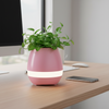 Polaroid Flowerpot Induction Speaker